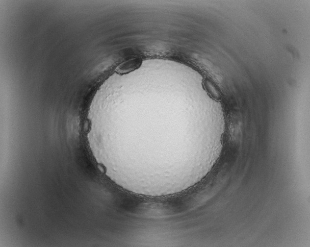 X0000116860211201001051431