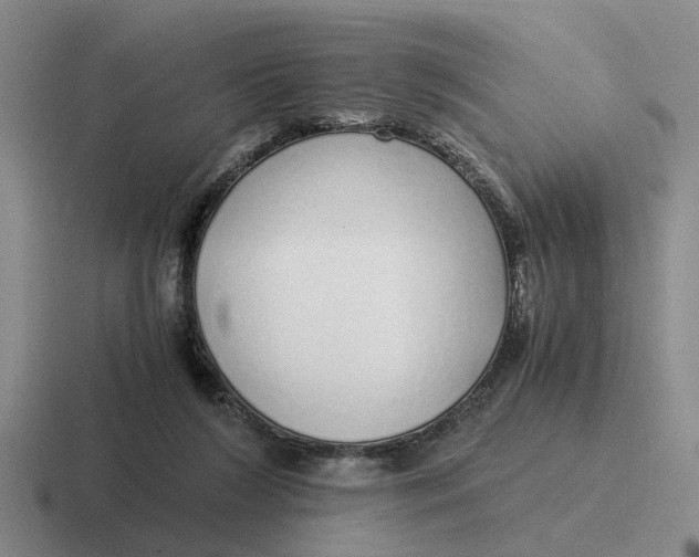 X0000116860212201001051431