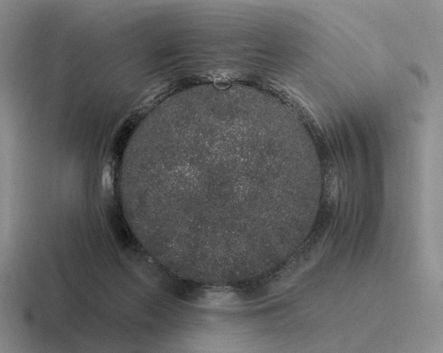 X0000116860214201001051431