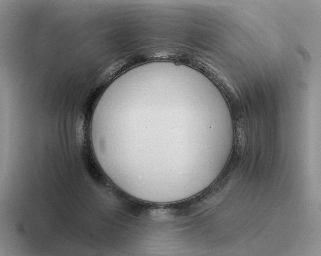 X0000116860216201001051431