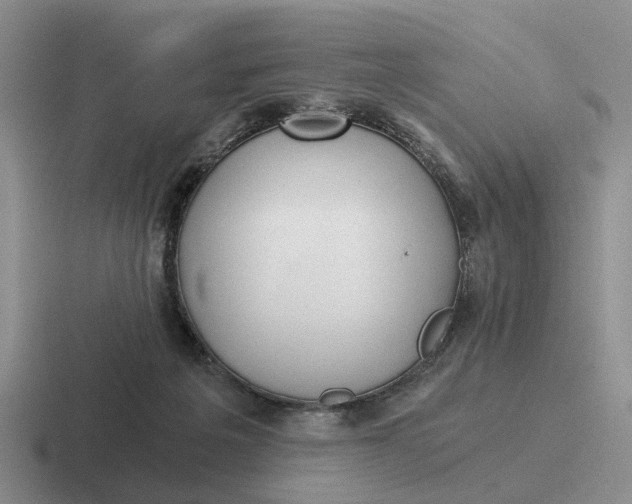 X0000116860217201001051431