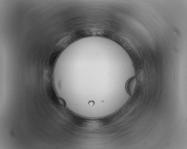 X0000116860218201001051431