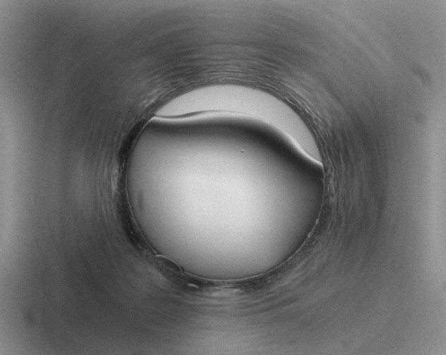 X0000116860219201001051431