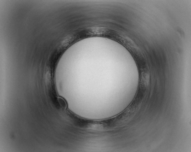 X0000116860220201001051431