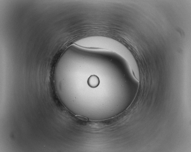 X0000116860221201001051431