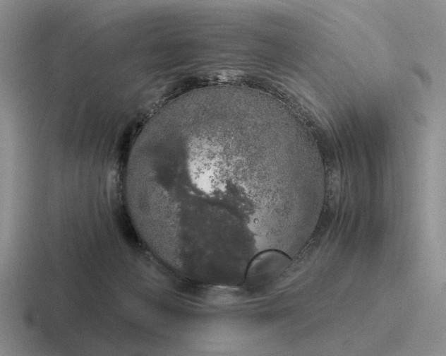 X0000116860222201001051431