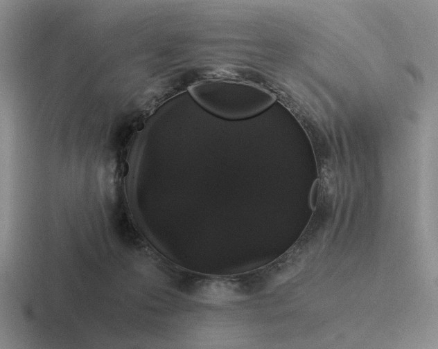 X0000116860223201001051431