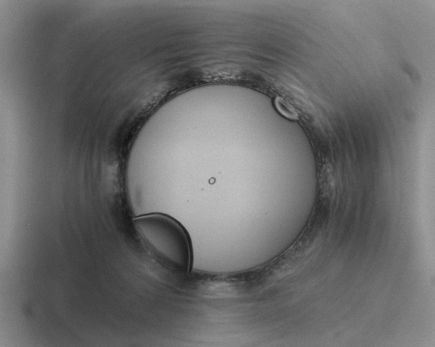 X0000116860224201001051431