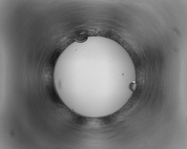 X0000116860226201001051431