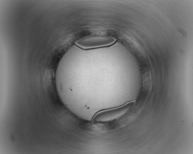 X0000116860229201001051431