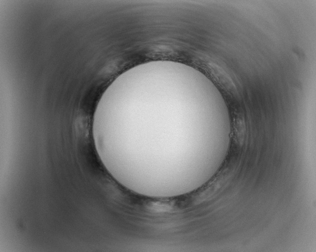 X0000116860232201001051431