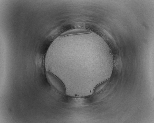 X0000116860233201001051431