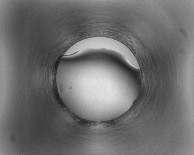 X0000116860235201001051431