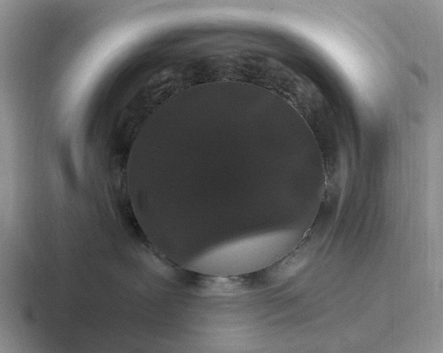 X0000116860239201001051431