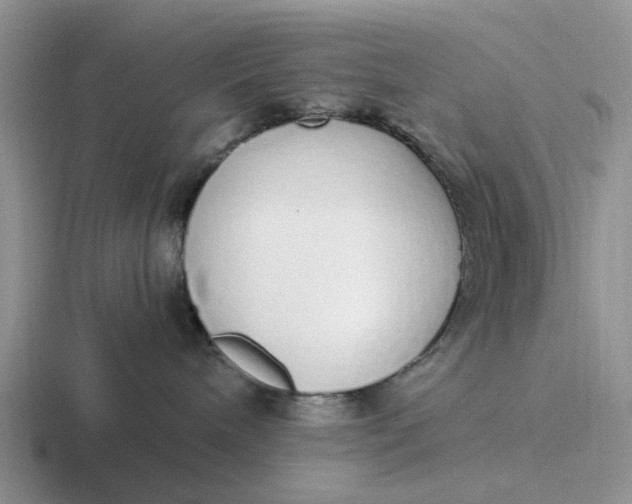 X0000116860240201001051431