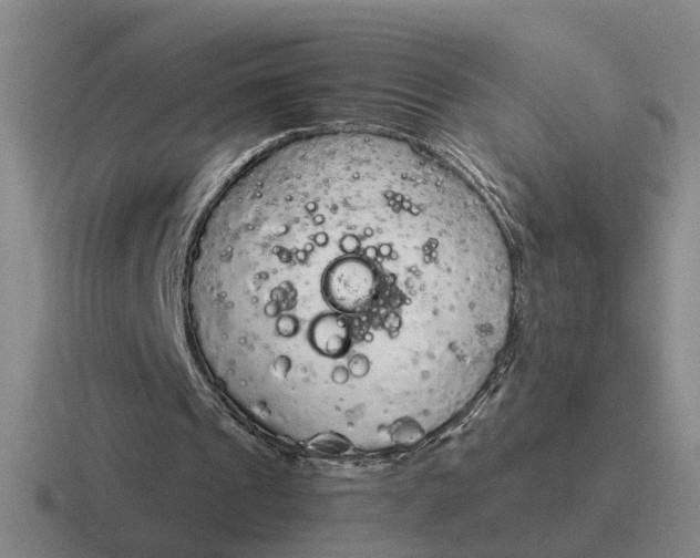 X0000116860241201001051430