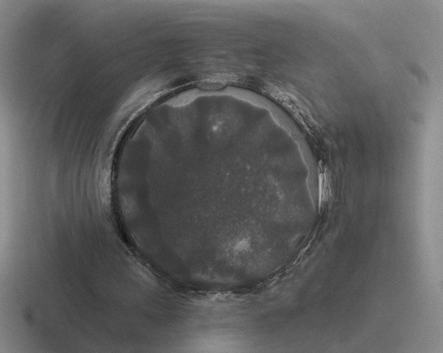 X0000116860243201001051430