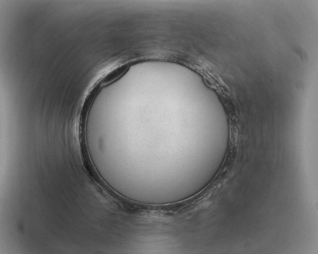 X0000116860244201001051430