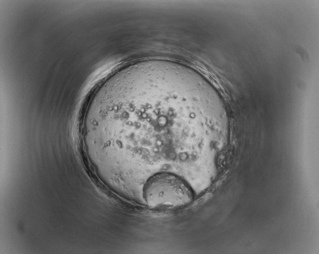 X0000116860245201001051430