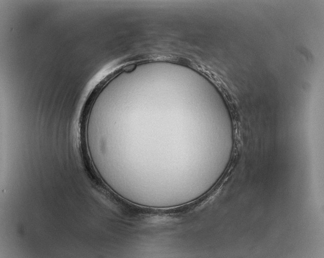 X0000116860246201001051430