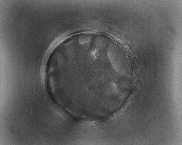 X0000116860247201001051430