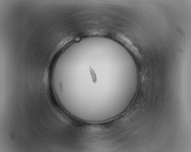 X0000116860250201001051430