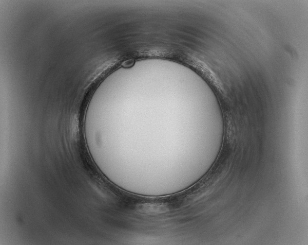 X0000116860251201001051430