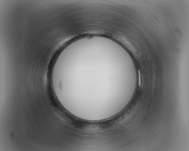 X0000116860252201001051430