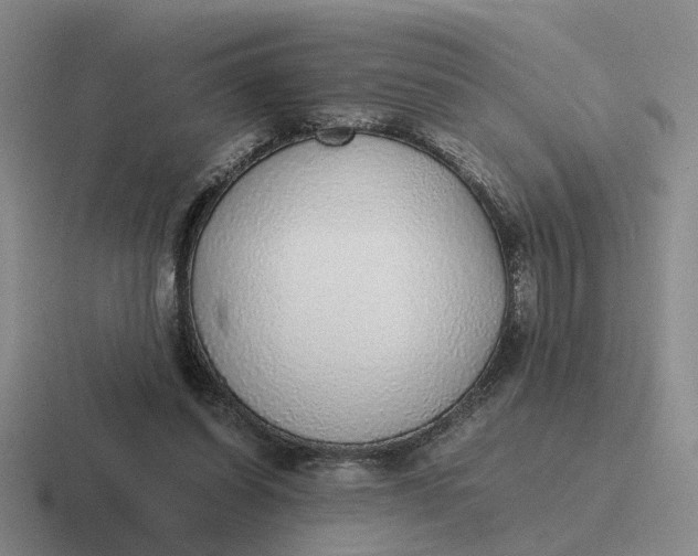 X0000116860254201001051430