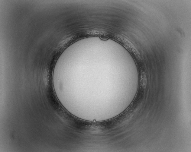 X0000116860255201001051430