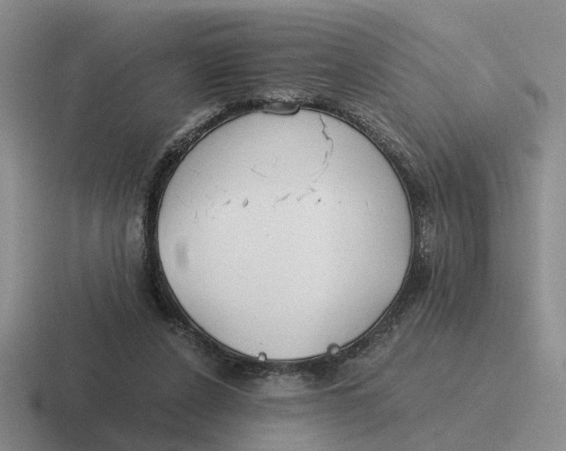 X0000116860256201001051430