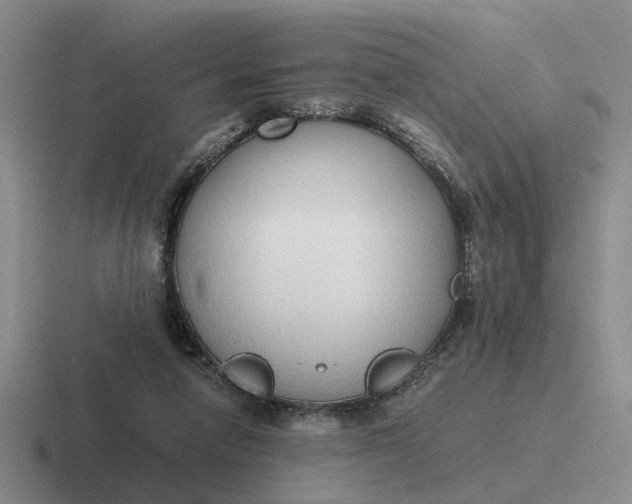 X0000116860258201001051430