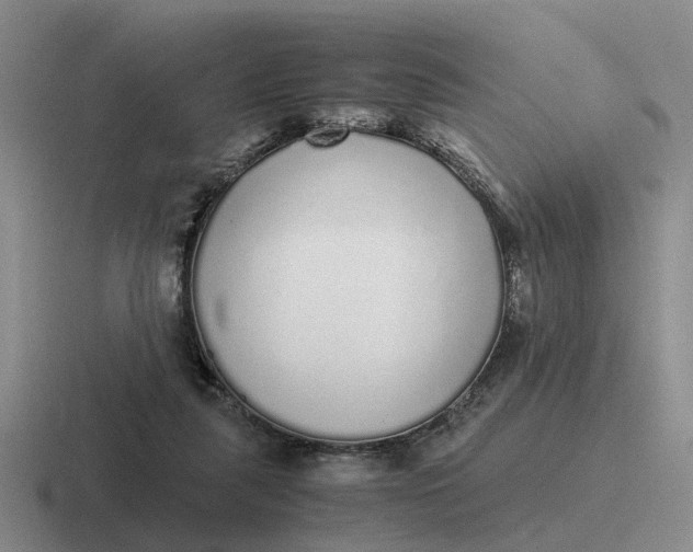 X0000116860259201001051430