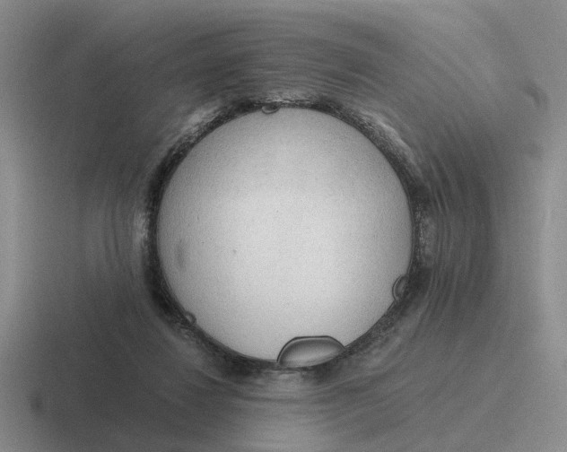 X0000116860260201001051430