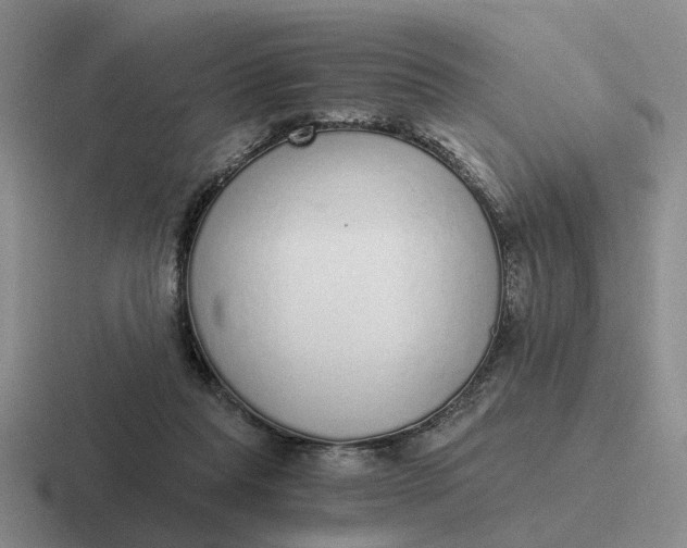 X0000116860261201001051430