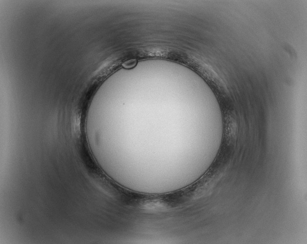 X0000116860262201001051430