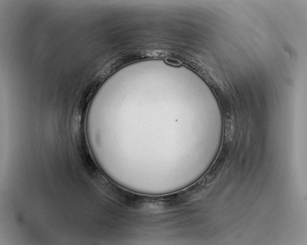 X0000116860263201001051430