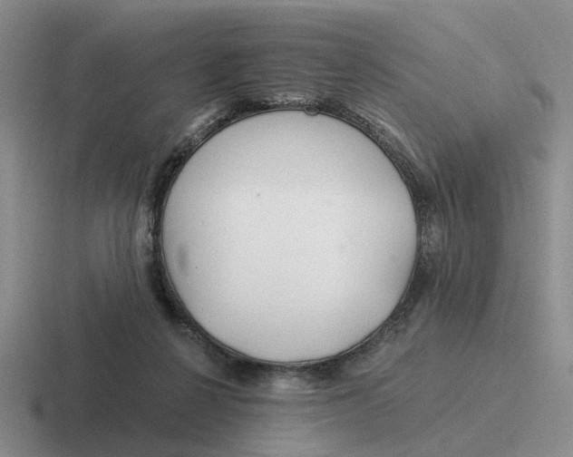 X0000116860264201001051430