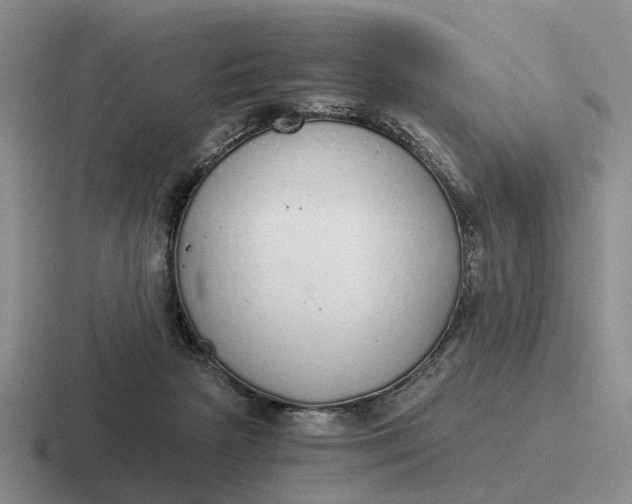 X0000116860265201001051430