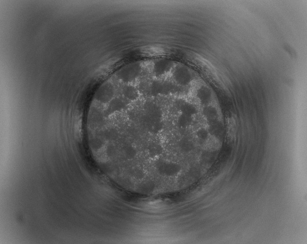 X0000116860267201001051430