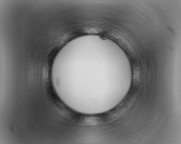 X0000116860268201001051430