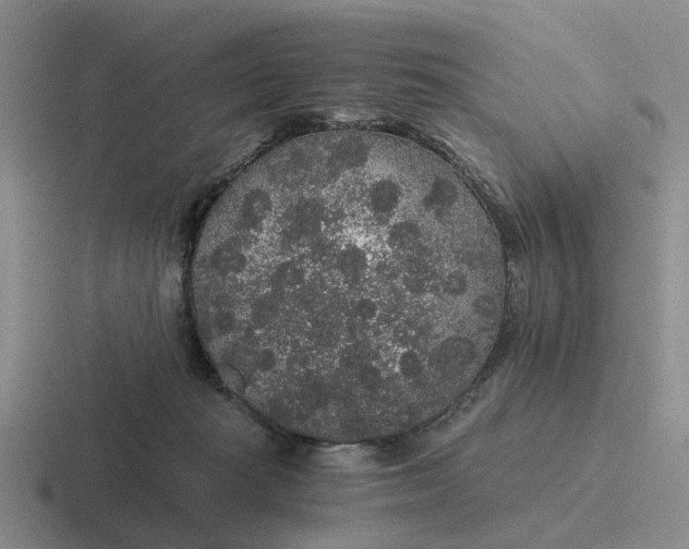 X0000116860269201001051430