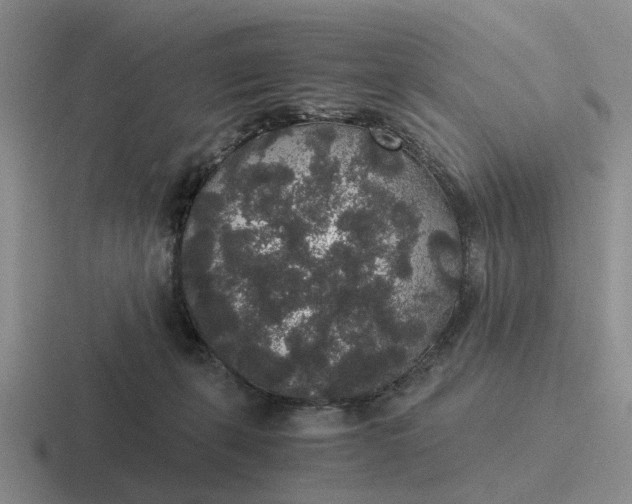 X0000116860271201001051430