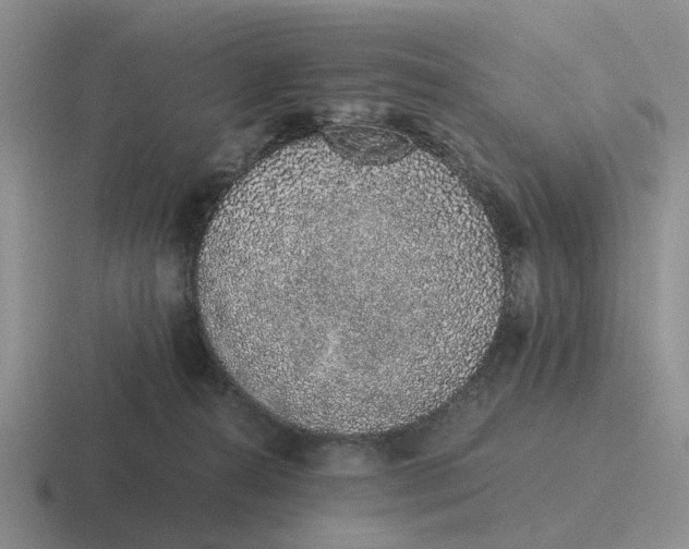 X0000116860272201001051430