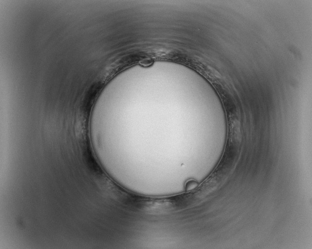 X0000116860274201001051430