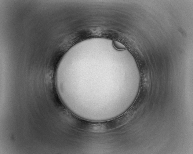 X0000116860275201001051430