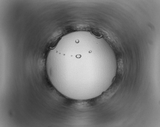 X0000116860278201001051431