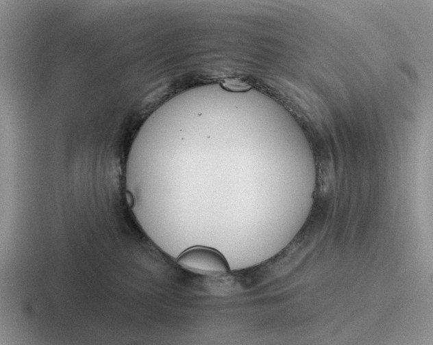 X0000116860279201001051431