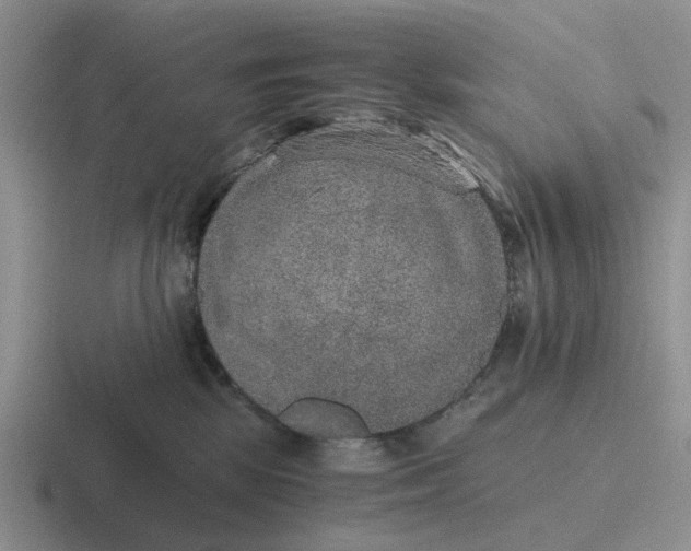 X0000116860281201001051431