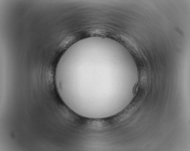 X0000116860282201001051431